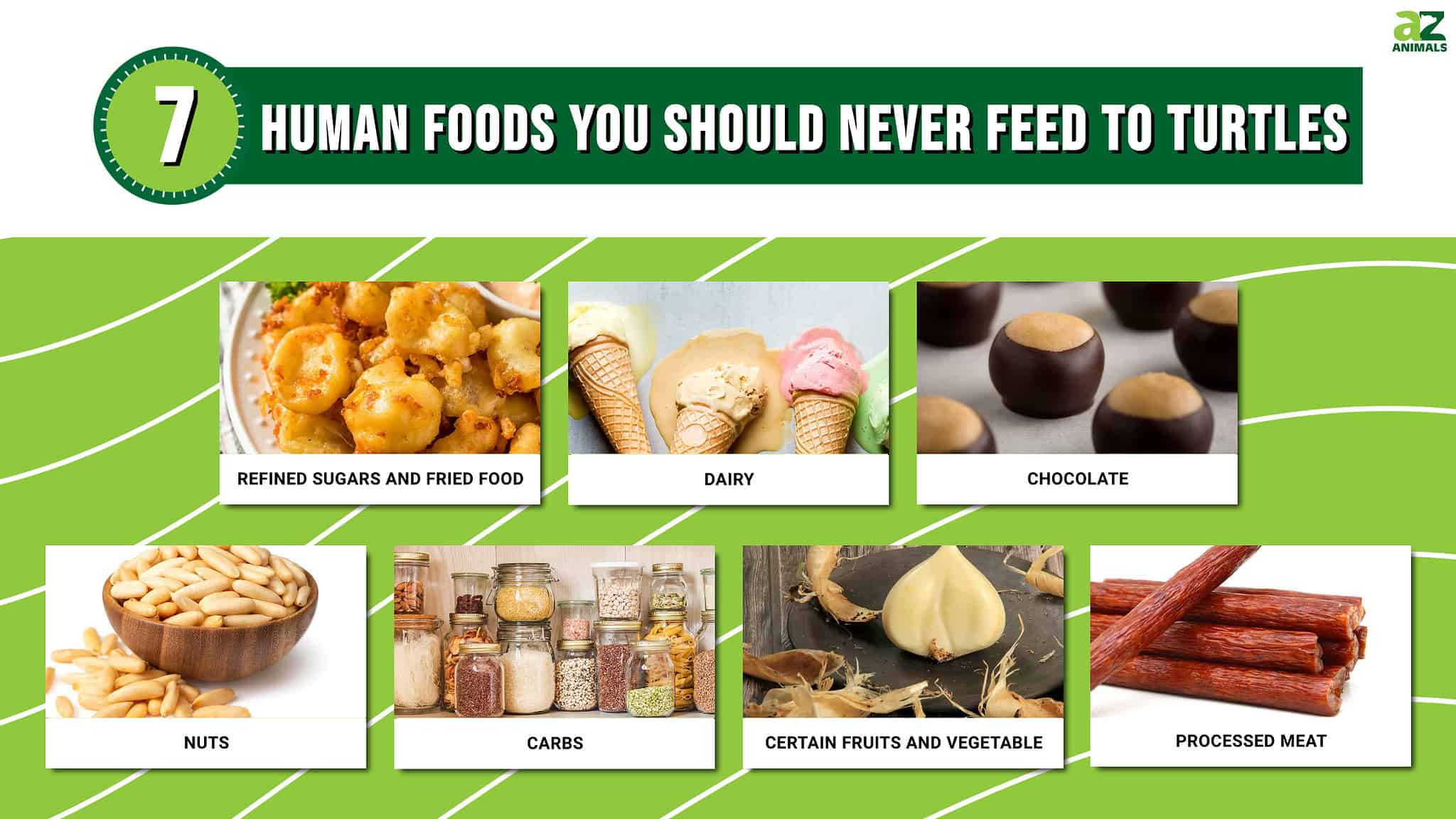7 Human Foods You Should Never Feed to Turtles AZ Animals