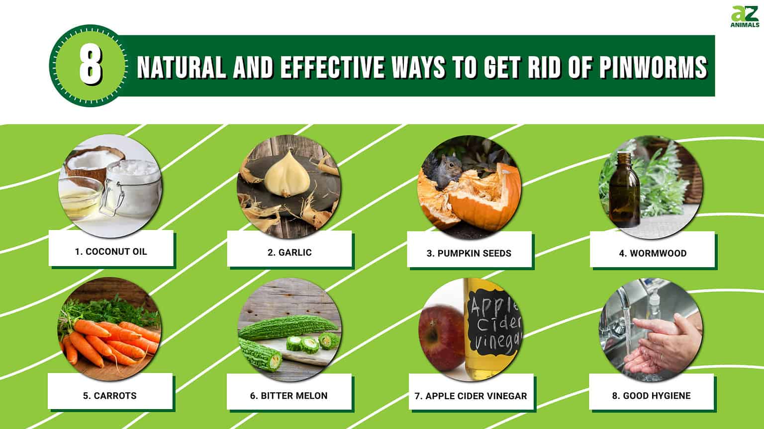 8 Natural And Effective Ways To Get Rid Of Pinworms - A-Z Animals