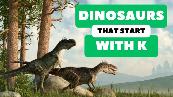 37 Dinosaurs That Start With K - A-Z Animals