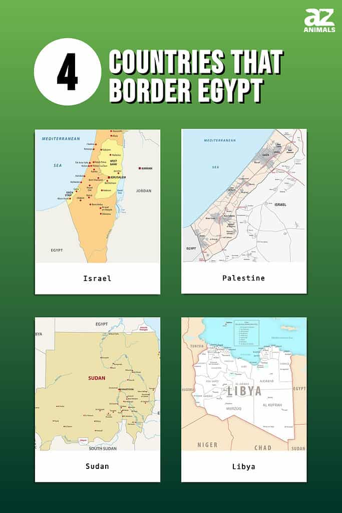 4 Countries That Border Egypt