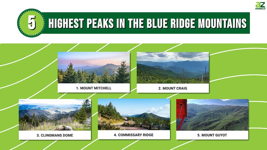 5 Highest Peaks in the Blue Ridge Mountains