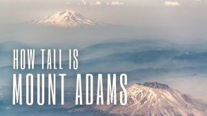 How Tall Is Mount Adams? Picture