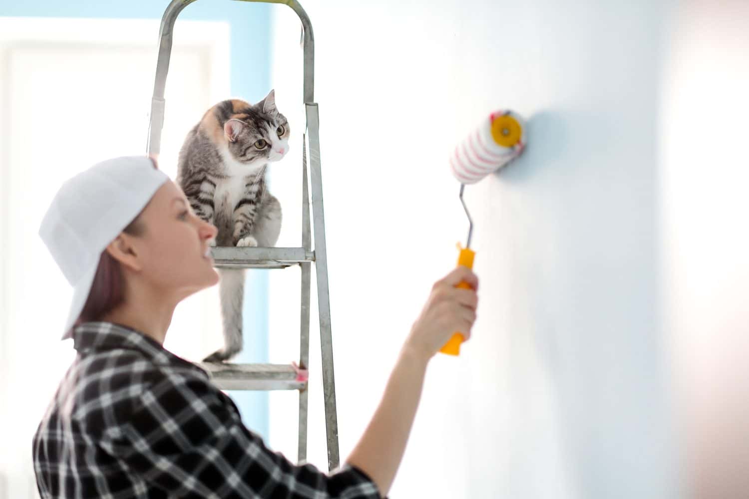 Girl painter, designer and worker paints a roller and brush the wall. The cat sits next to the ladder and looks at the work.