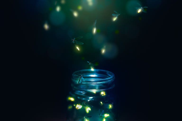 fireflies in a glass jar on a dark background