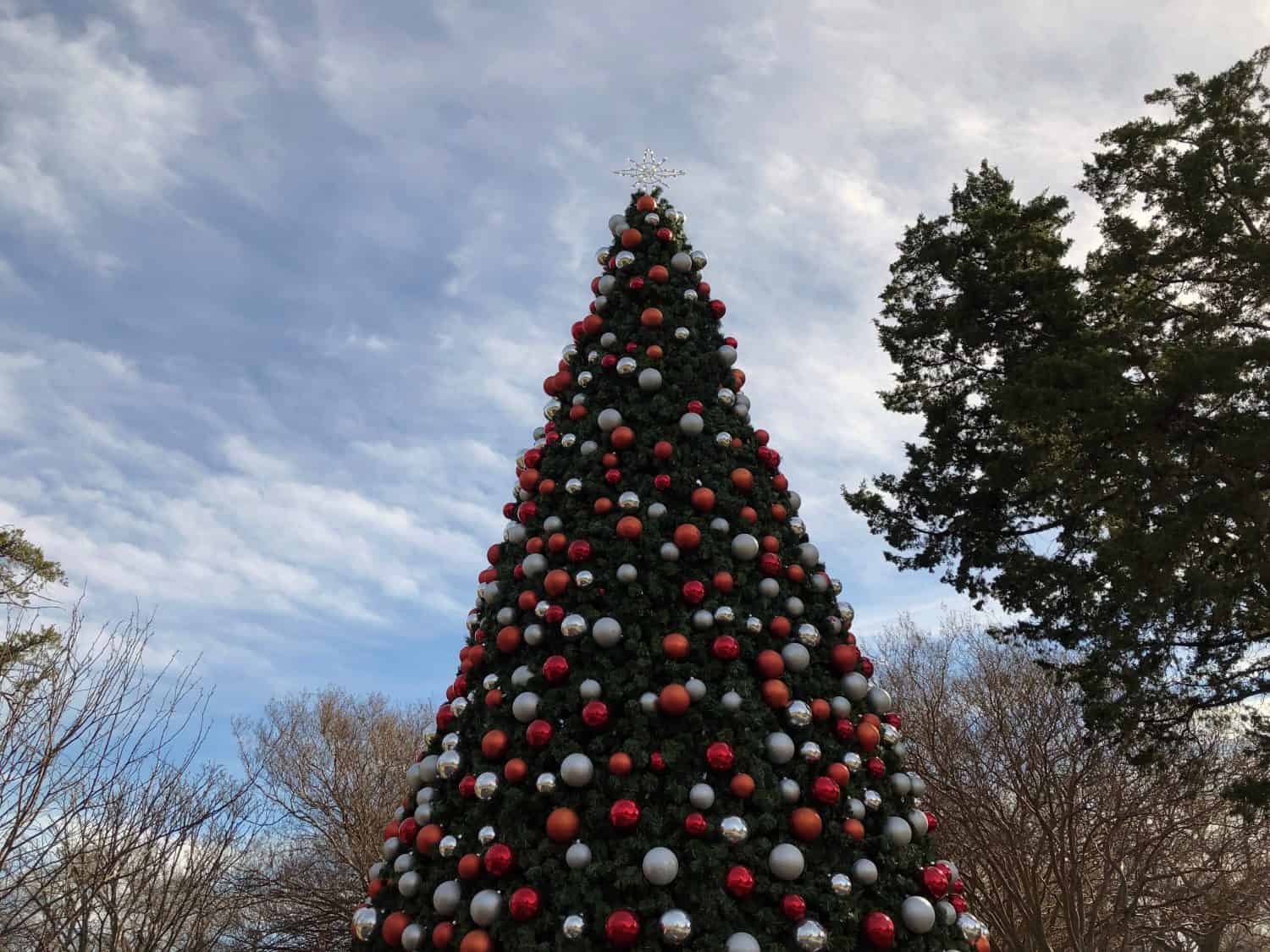 Christmas Tree in Dallas Texas