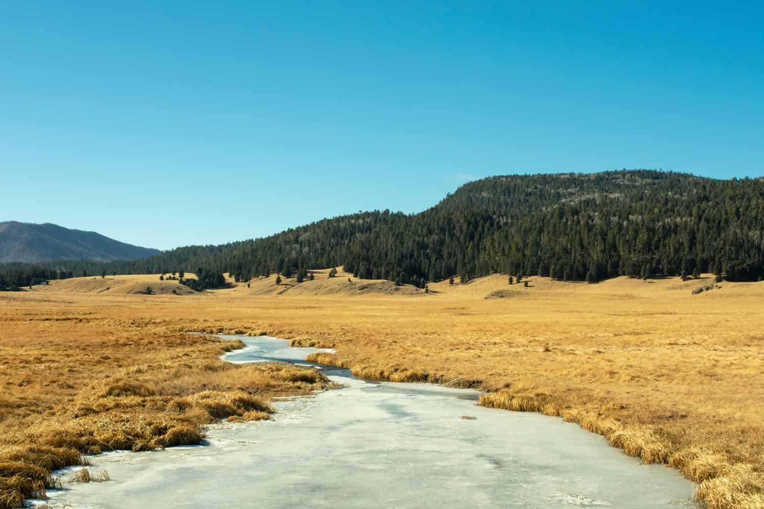Valles Caldera National Preserve during winter, with the East Fork Jemez River and tussock grasses in the foreground