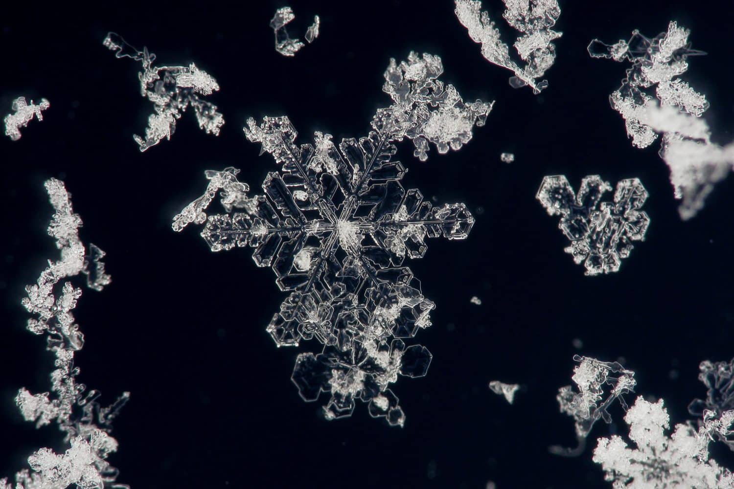Snow flakes are unique, and they're not usually symmetrical.