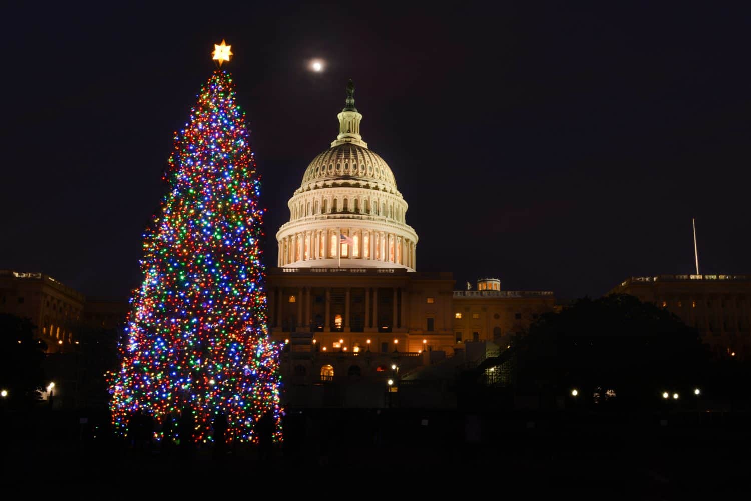 US Capitol building and the Christmas tree at night - Washington DC, United States