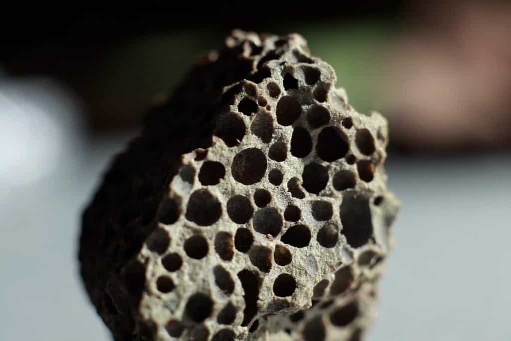 Space Rock or Not? Rocks That Look Like Meteorites - A-Z Animals