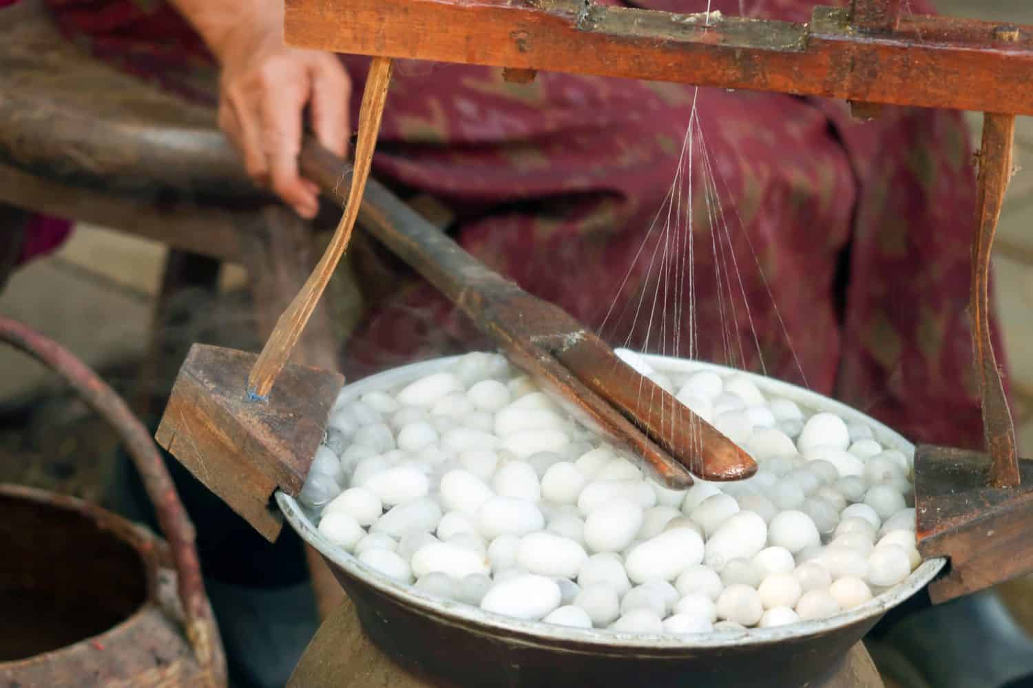 traditional silk production. The process of producing silk by hand from silkworm cocoons.