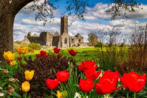 The Oldest Church in Ireland Still Stands After 1000 Years Picture