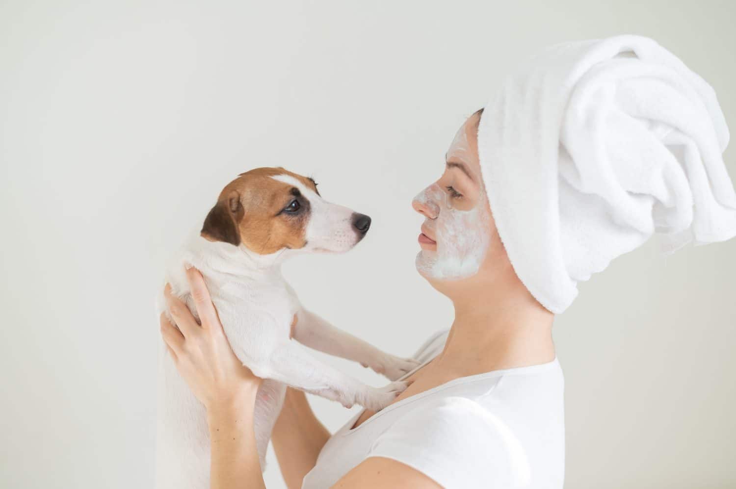 A woman with a towel on her hair and a clay mask is holding a dog. Jack Russell Terrier licks the mask from the owner face.