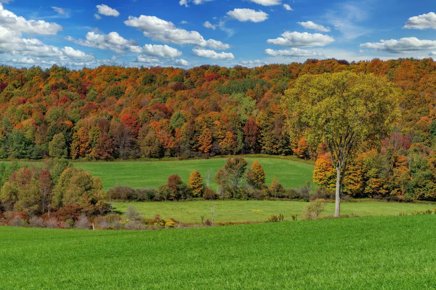 Autumn Afternoon In The Finger Lakes Of Central New York Near The Towns Of Cortland and Virgil