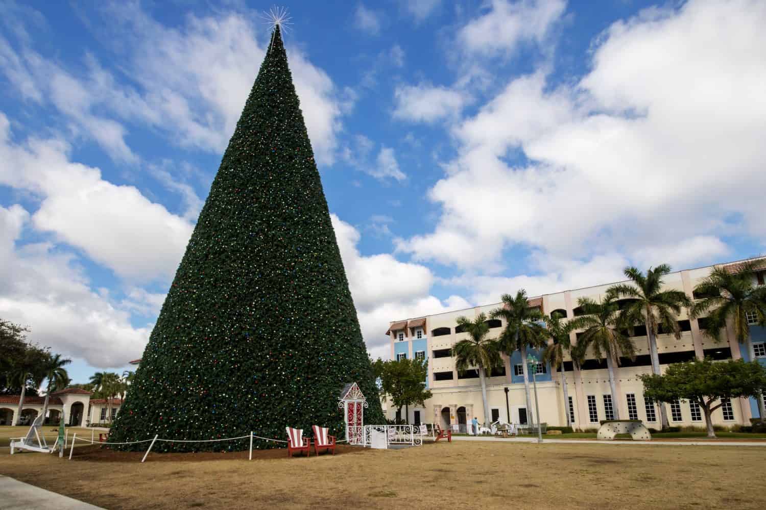The magnificent 100ft Christmas Tree in Delray Beach, Florida, USA