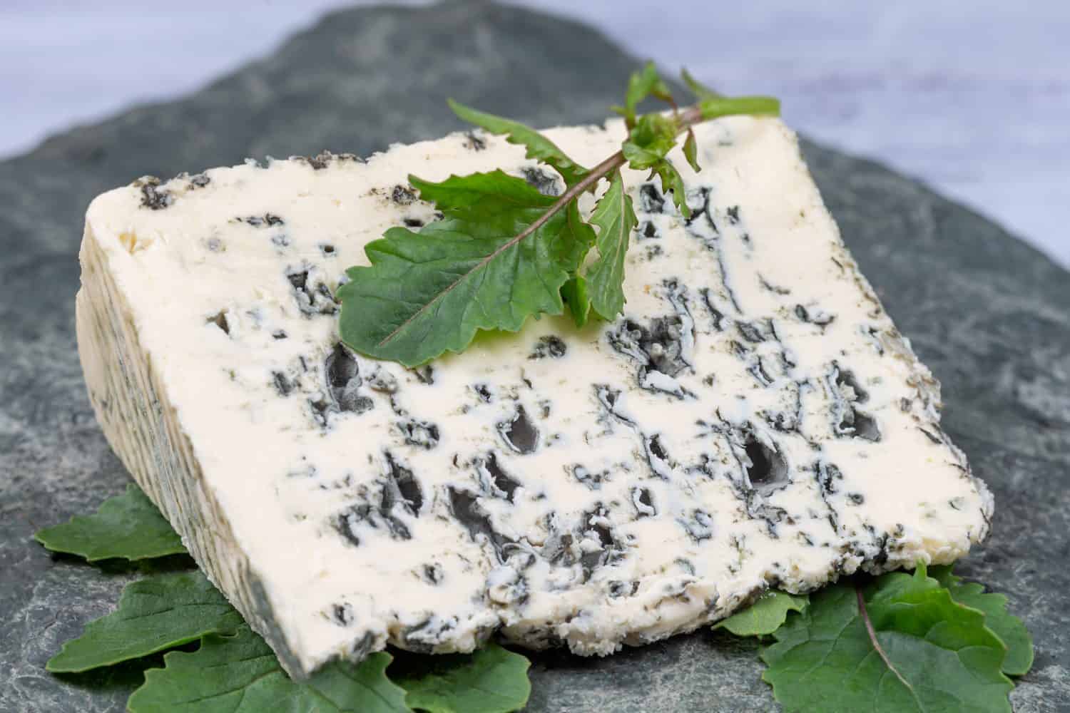 Cheese with blue mold Saint Agur