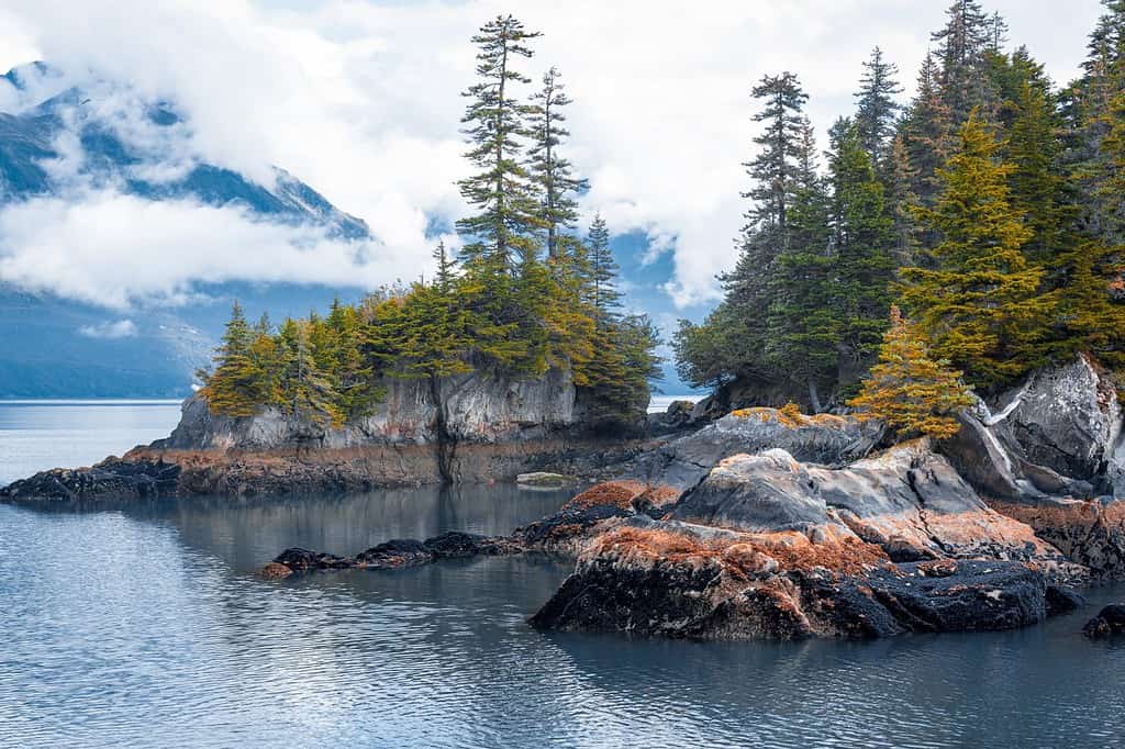 7 Reasons Portlock, Alaska Is America's Creepiest Ghost Town - A-Z Animals