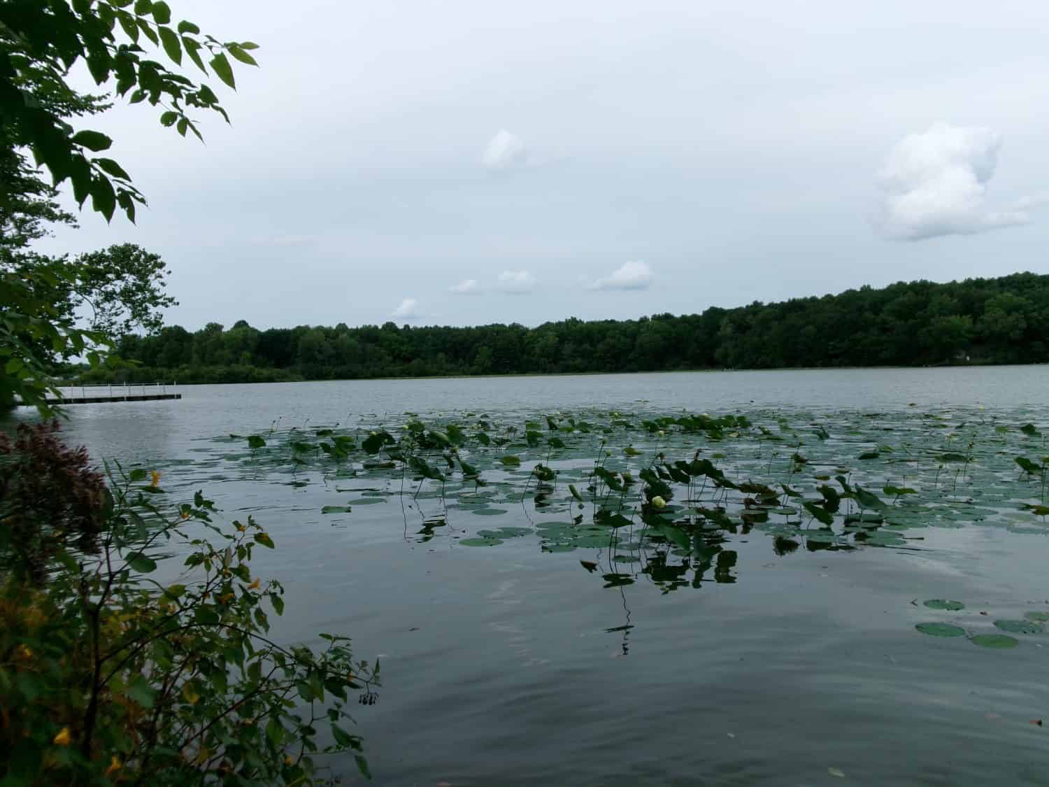 Photography taken at Sylvan Lake, August 2023