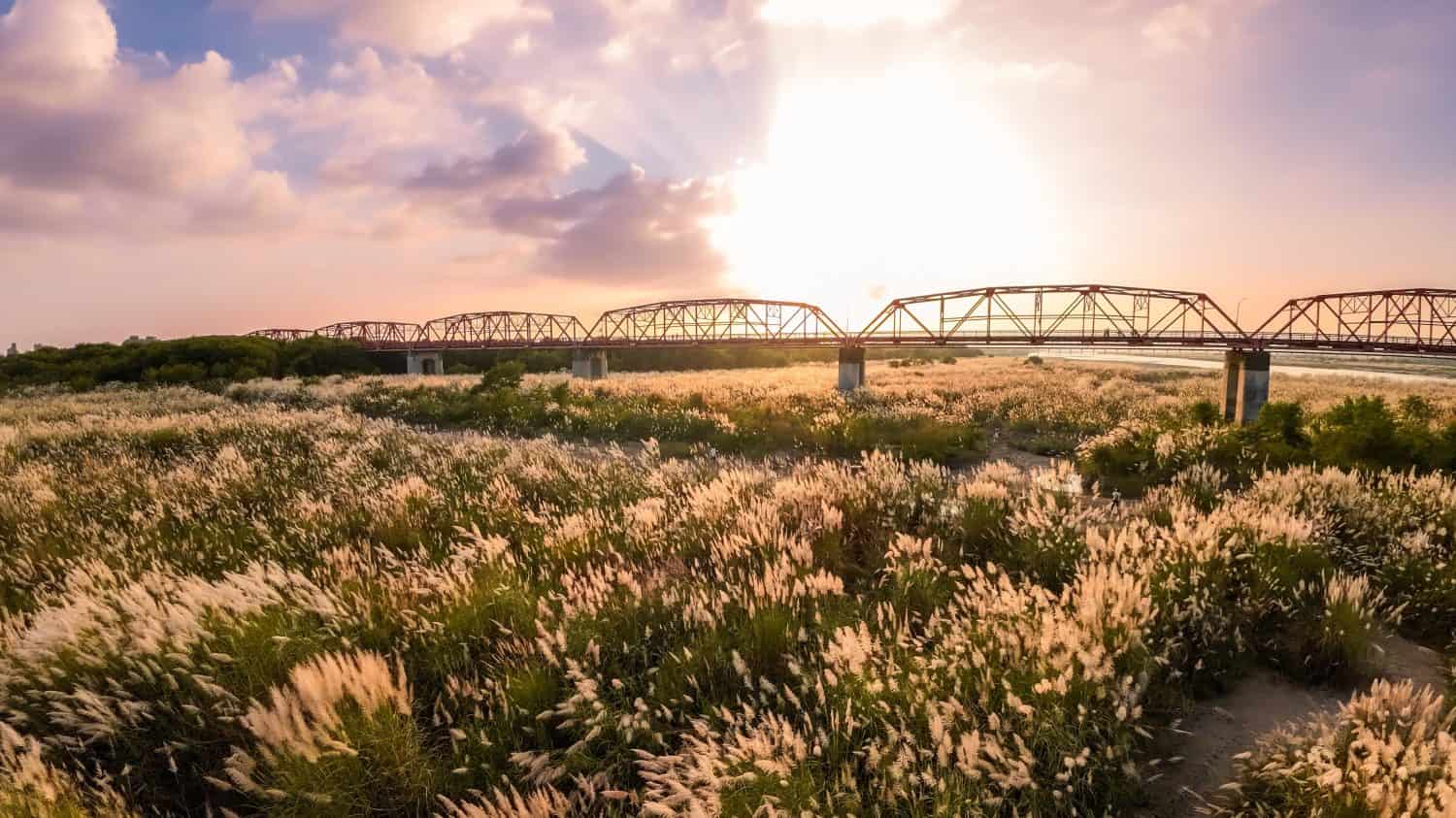 A serene view of Xiluo Bridge in Yuanlin Town, Taiwan, adorned with Sweet Root Grass under a sunset glow.
