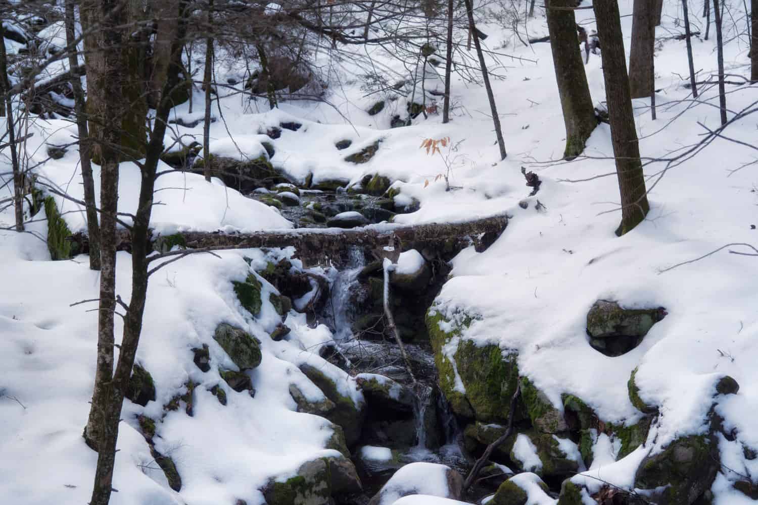 A small stream on the jones mountain trail in new hartford connecticut on a winter day.