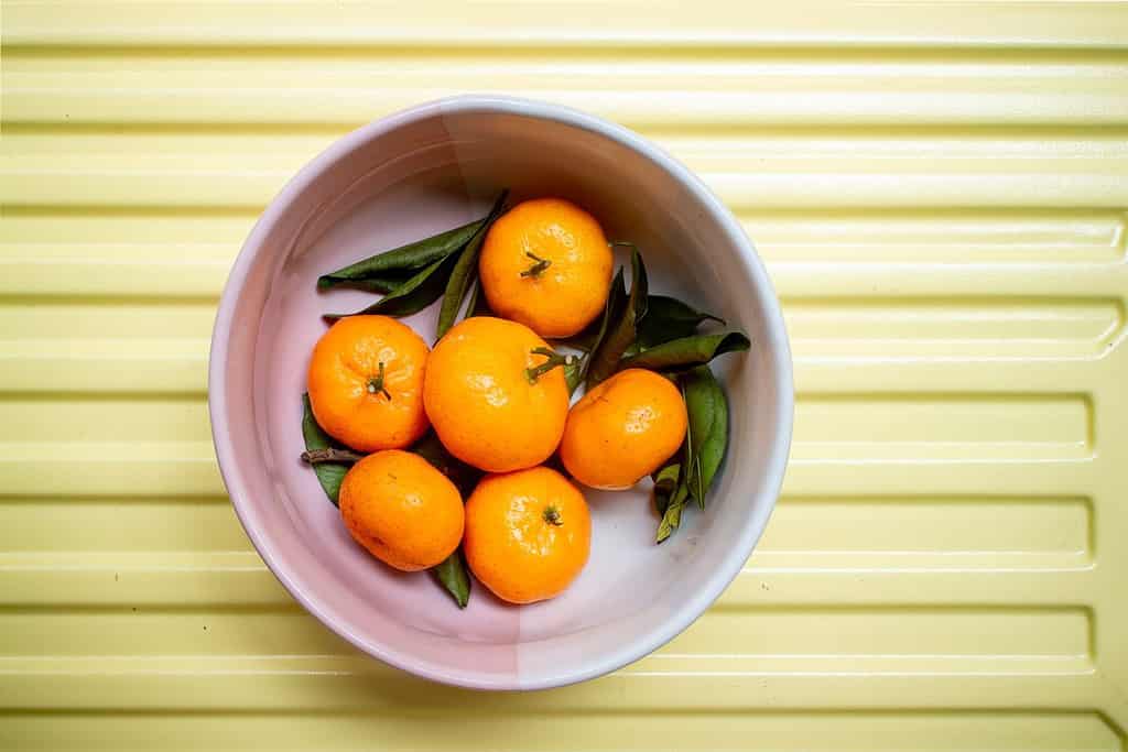 Tangerines. Close view on Fresh Mandarin Orange. Mandarin Imperial Ponkam, Sweet and Juicy. Chinese. New Year.
