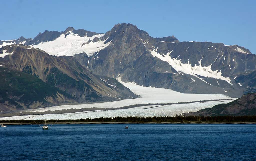 Kenai Fjords Nat. Park, Kenai Peninsula, Alaska - United States
