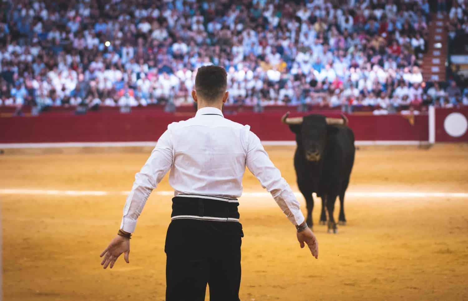 Where is Bullfighting Still Legal? - A-Z Animals