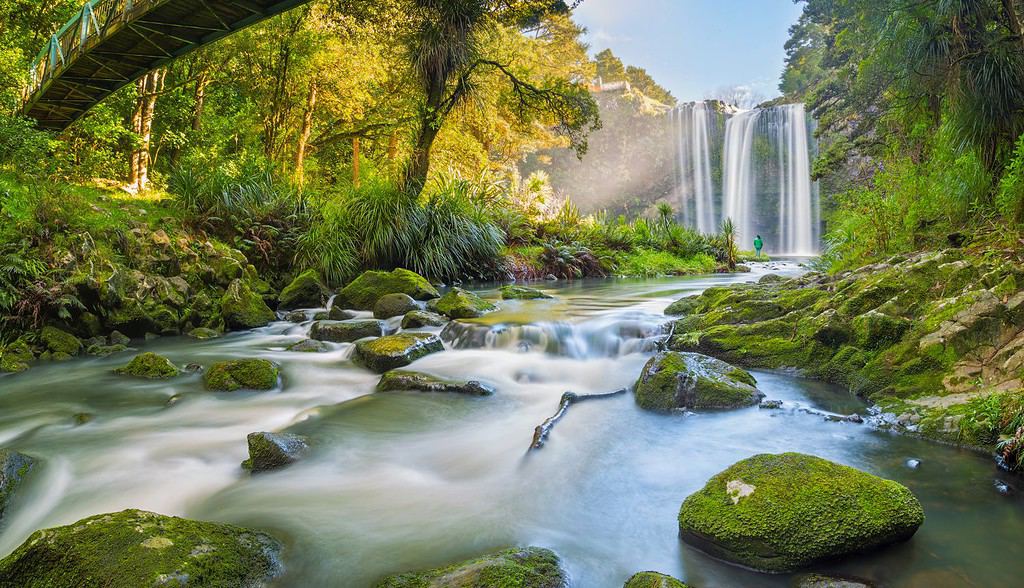 The Scenic Whangarei Falls, Northland, New Zealand