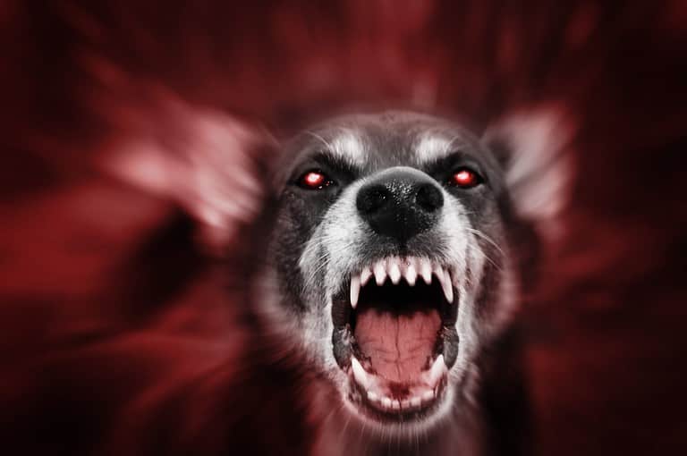 Red glowing eyed dog-like aggressive demonic attacking beast, incarnation of evil, fear and hereafter. Blurred for reason to emphasize movement.
