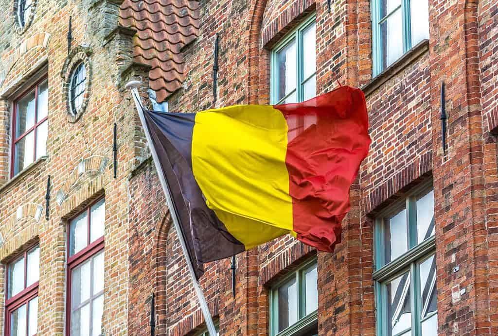 Belgian Flag - Photo