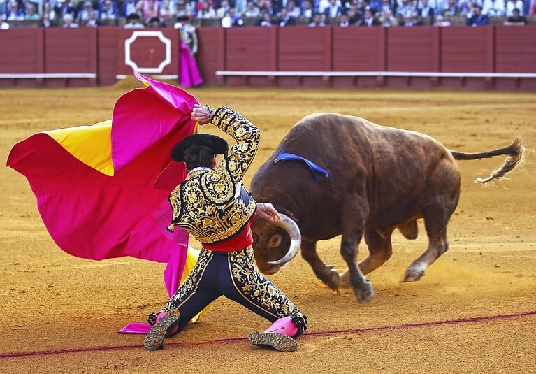 spanish bullfight