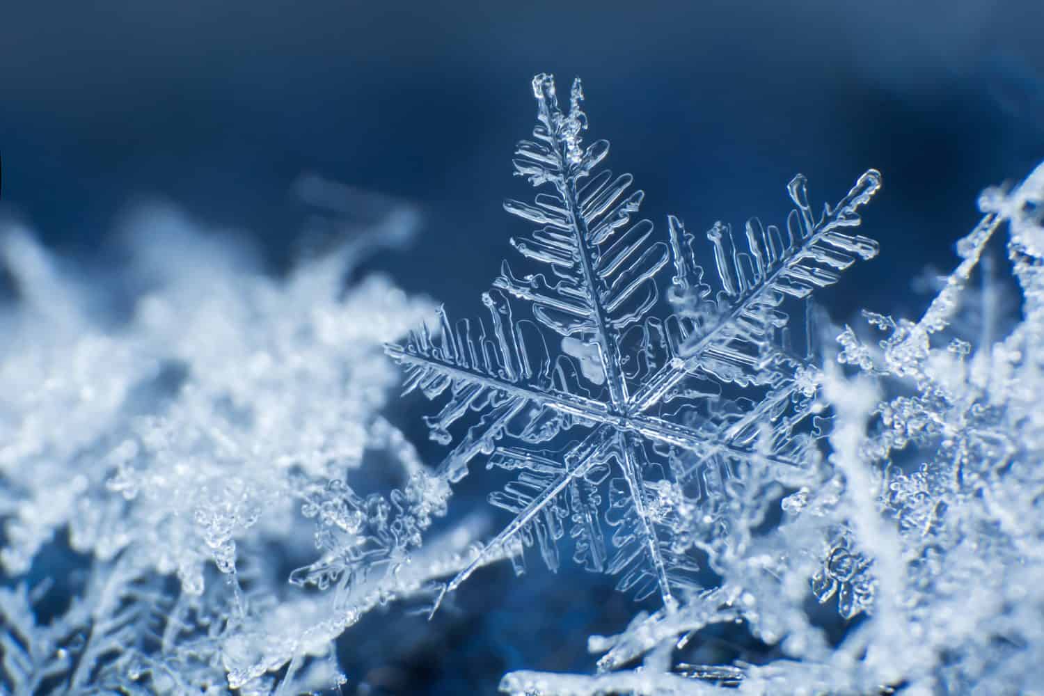 1 of 18 amazing facts about snowflakes: There are 3 basic ingredients: ice crystals, water vapor, and dust