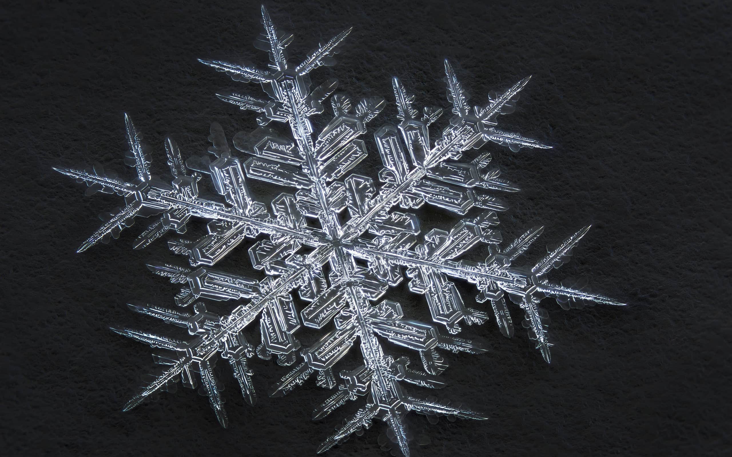 one of 18 amazing facts about snowflakes: They're all hexagonal.