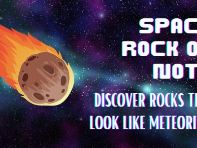 A Space Rock or Not? Rocks That Look Like Meteorites