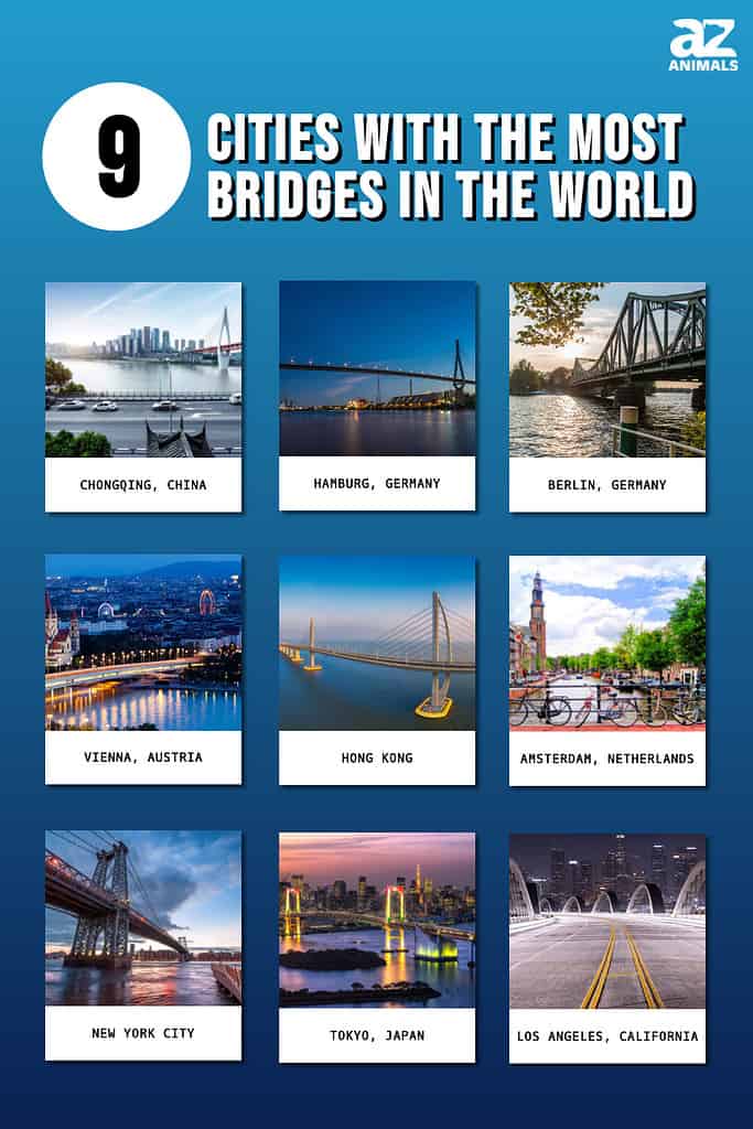 9 Cities With the Most Bridges in the World