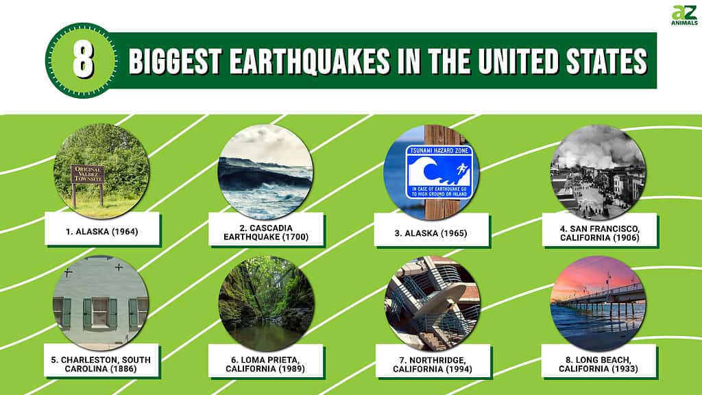 8 Biggest Earthquakes in the United States