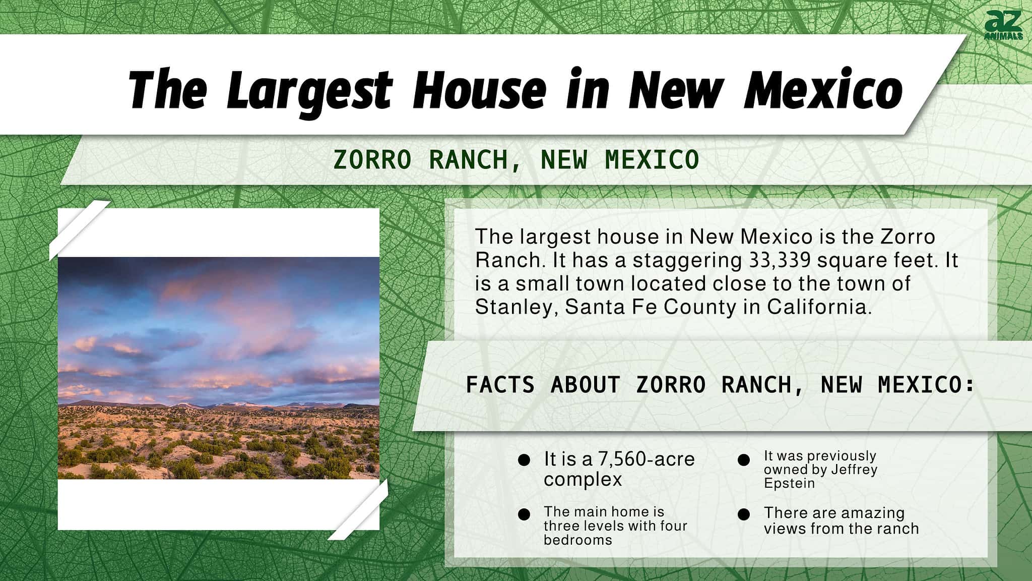 discover-the-largest-house-in-new-mexico-and-just-how-big-33-339-square