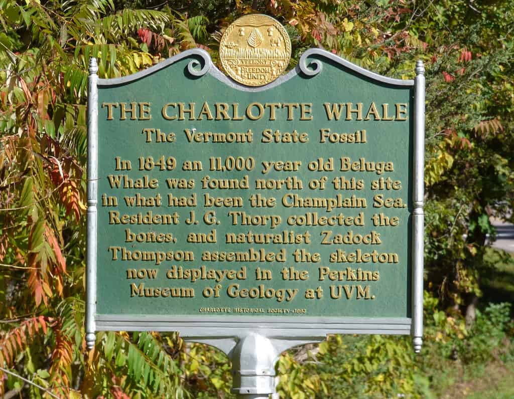 The Charlotte Whale (Beluga) historical plaque of the Charlotte Historical Society on Thompson's Point Road (looking eastward) in Charlotte, Vermont, October 2022.
