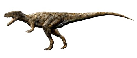 Walkersaurus/Duriavenator dinosaur
