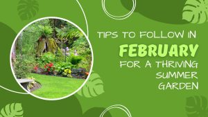 Follow These 4 Tips in February for a Thriving Garden Later This Summer Picture