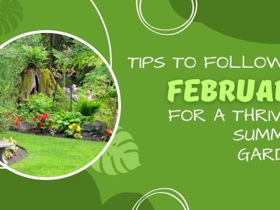 A Follow These 4 Tips in February for a Thriving Garden Later This Summer