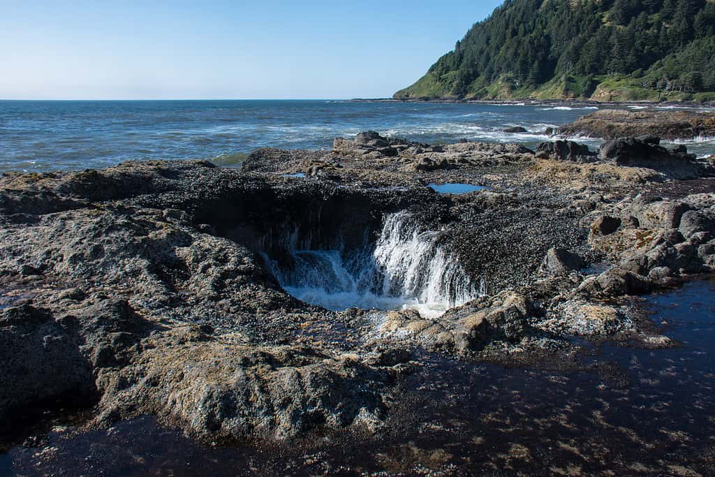 Thors Well, a natural rock feature in Cape Perpetua on the Oregon Coast