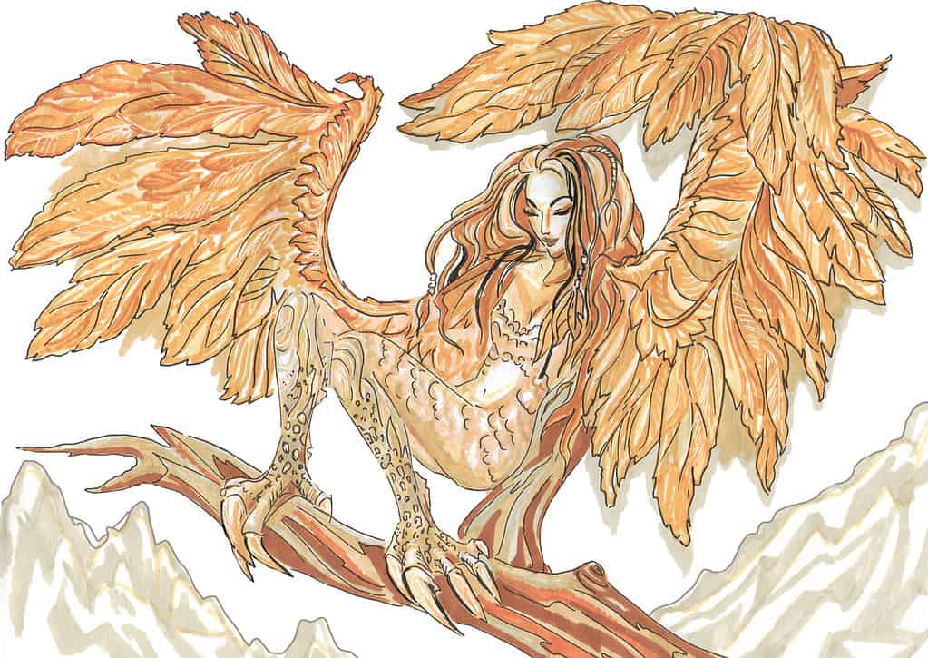 golden harpy