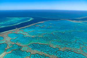 8 Incredible Facts About the Great Barrier Reef photo