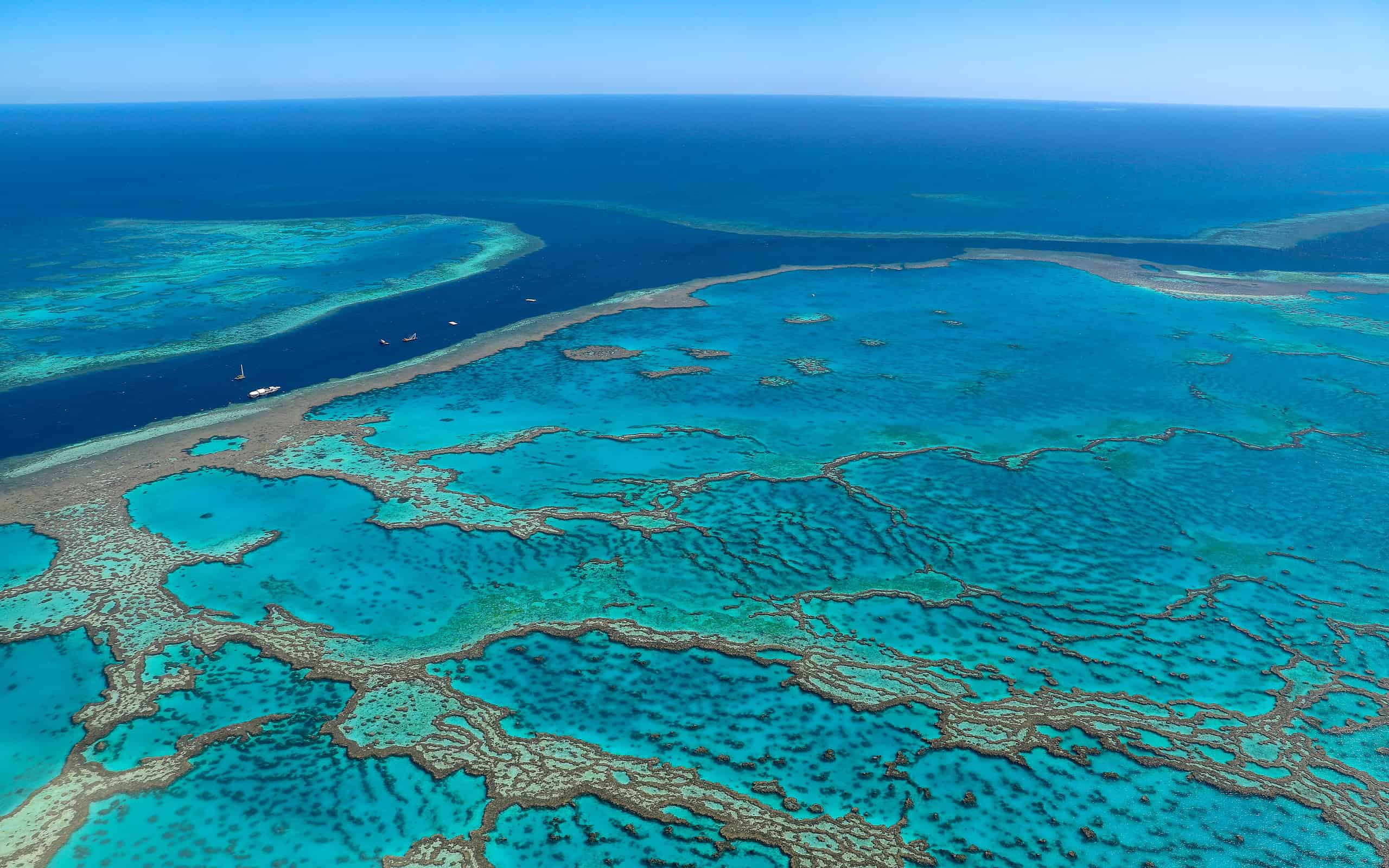 8 Incredible Facts About the Great Barrier Reef - A-Z Animals