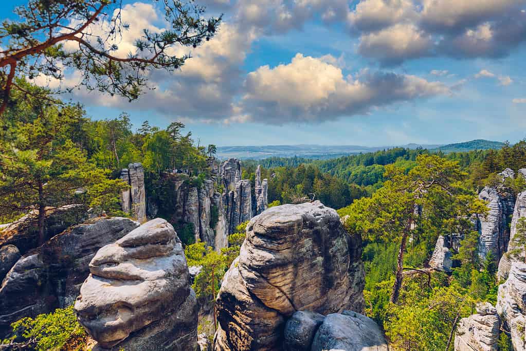Prachov rocks (Prachovske skaly) in Cesky Raj region, Czech Republic. Sandstone rock formation in vibrant forest. Prachov Rocks, Czech: Prachovske skaly, in Bohemian Paradise, Czech Republic.