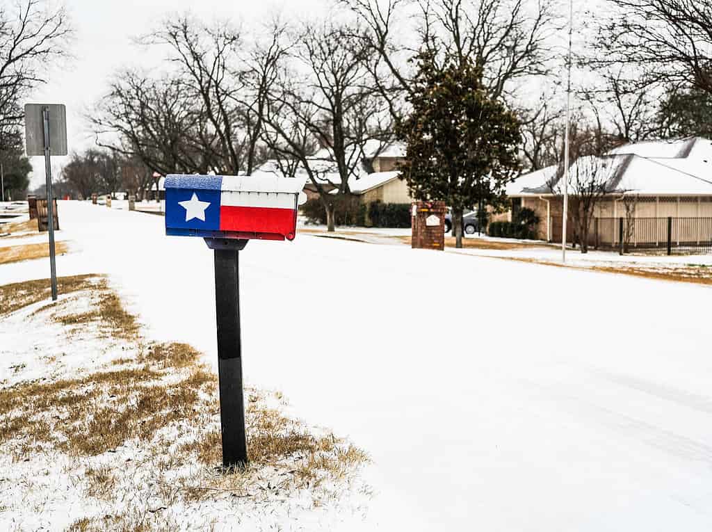 Texas Flag Mailbox in Snow Scene 2022