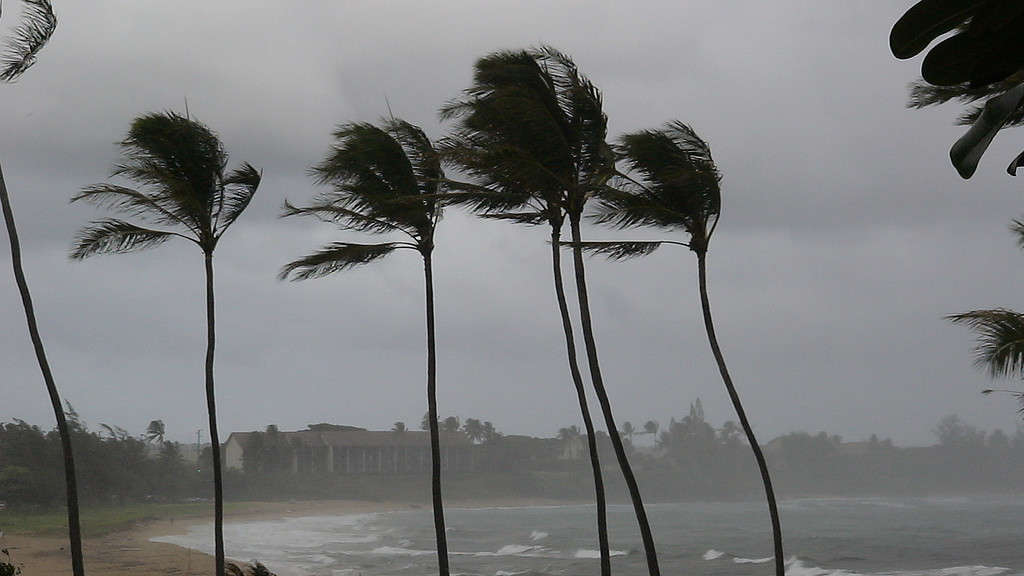 When wind speeds exceed 39 miles per hour, a storm is named. 