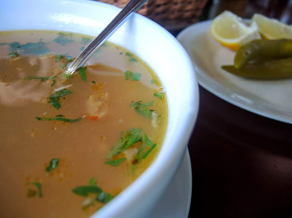 romanian serbian dish fish soup (bors peste)