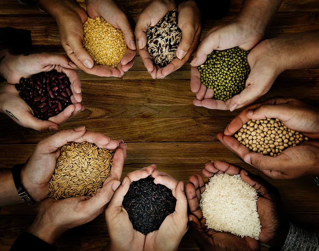 People holding grains