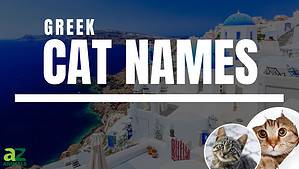 180 Great Greek Cat Names and Their Meanings Picture
